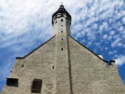 MARATONA DI TALLINN 2013